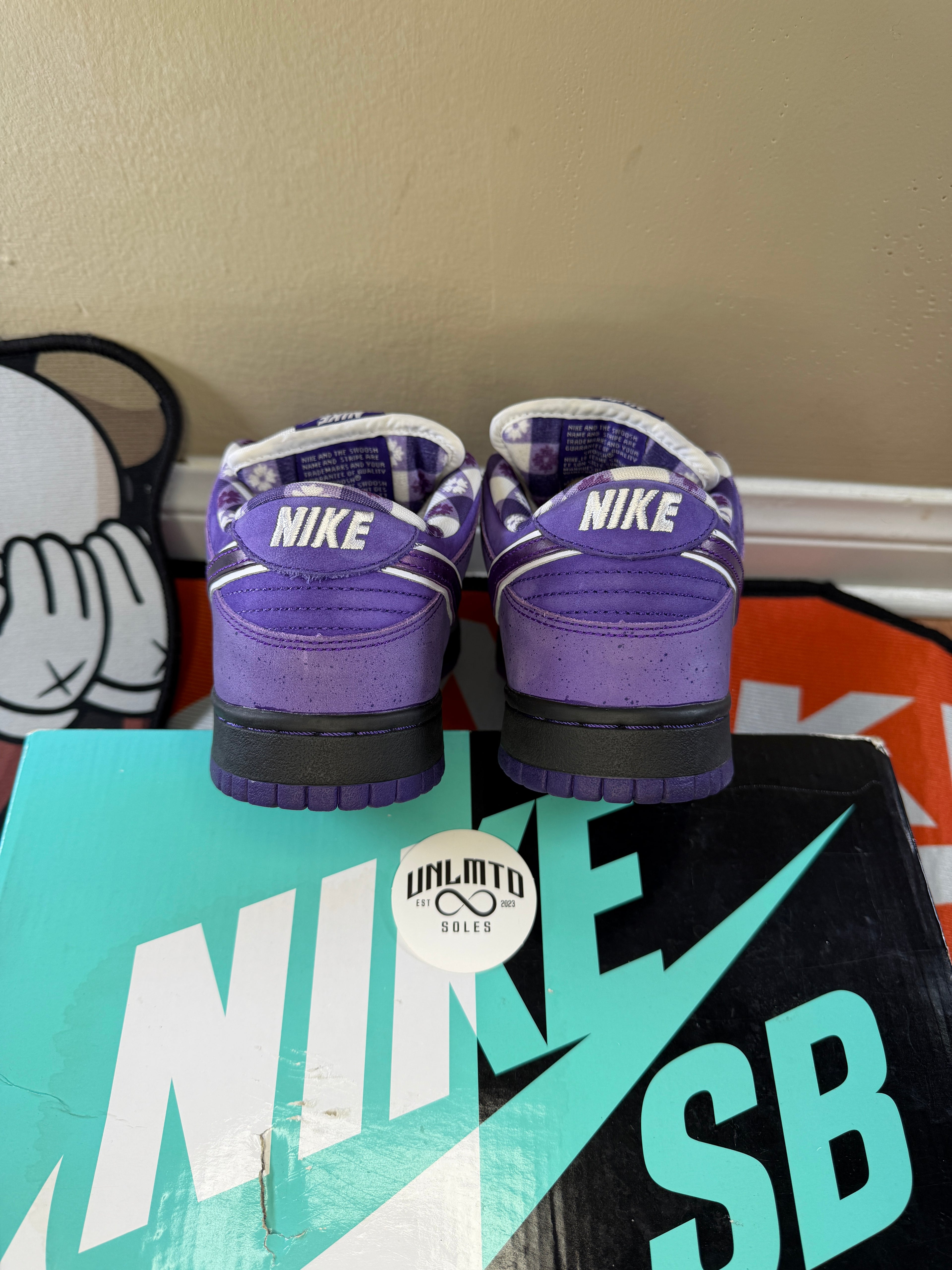 Nike SB Dunk Low Concepts Purple Lobster