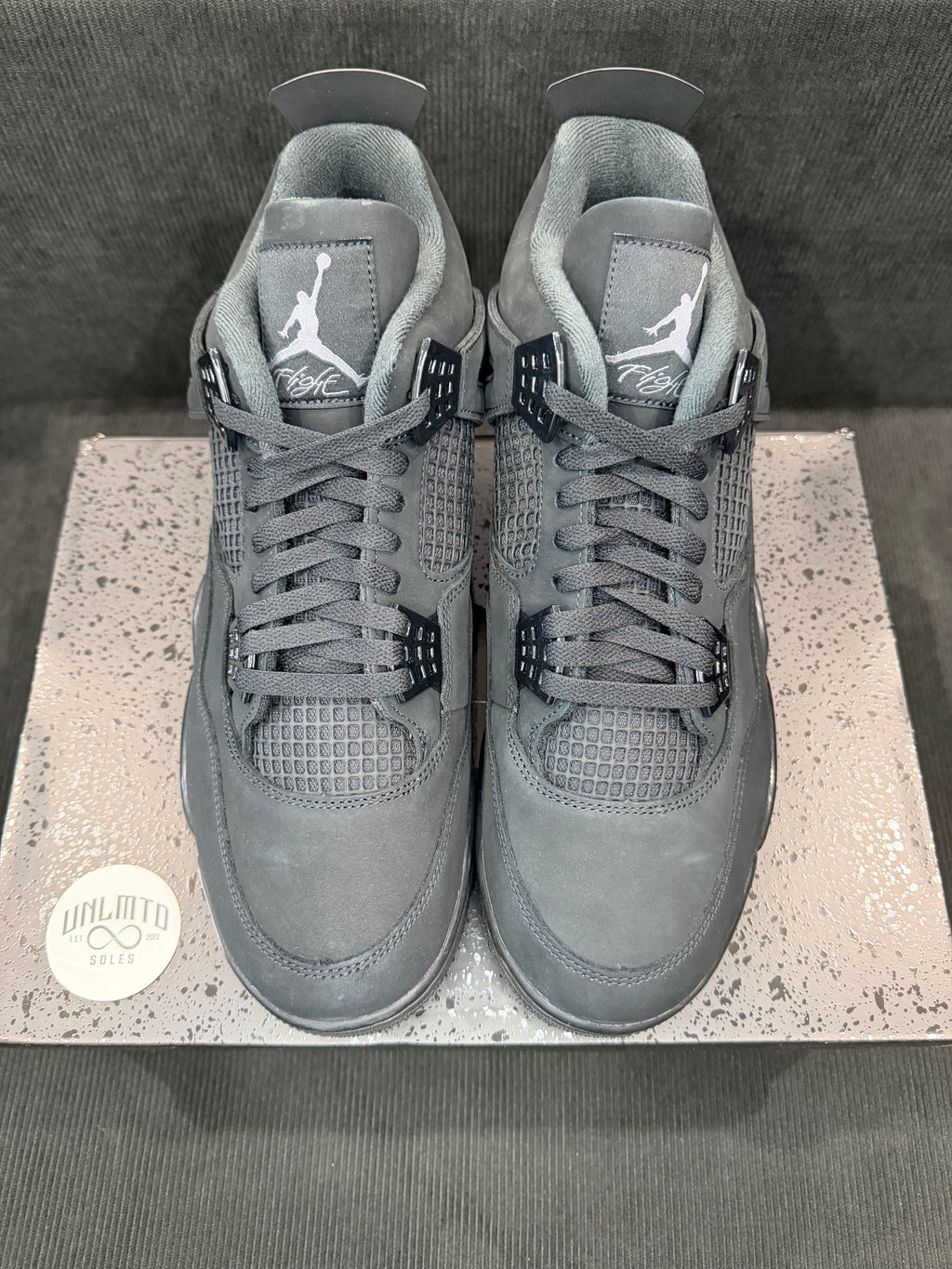 Jordan 4 Retro Black Cat (2025)